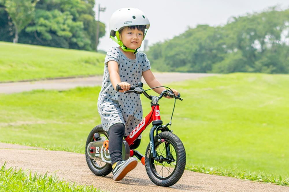 ides D-Bike MASTER 12 EZB | 株式会社オオトモ [ カタログサイト ]